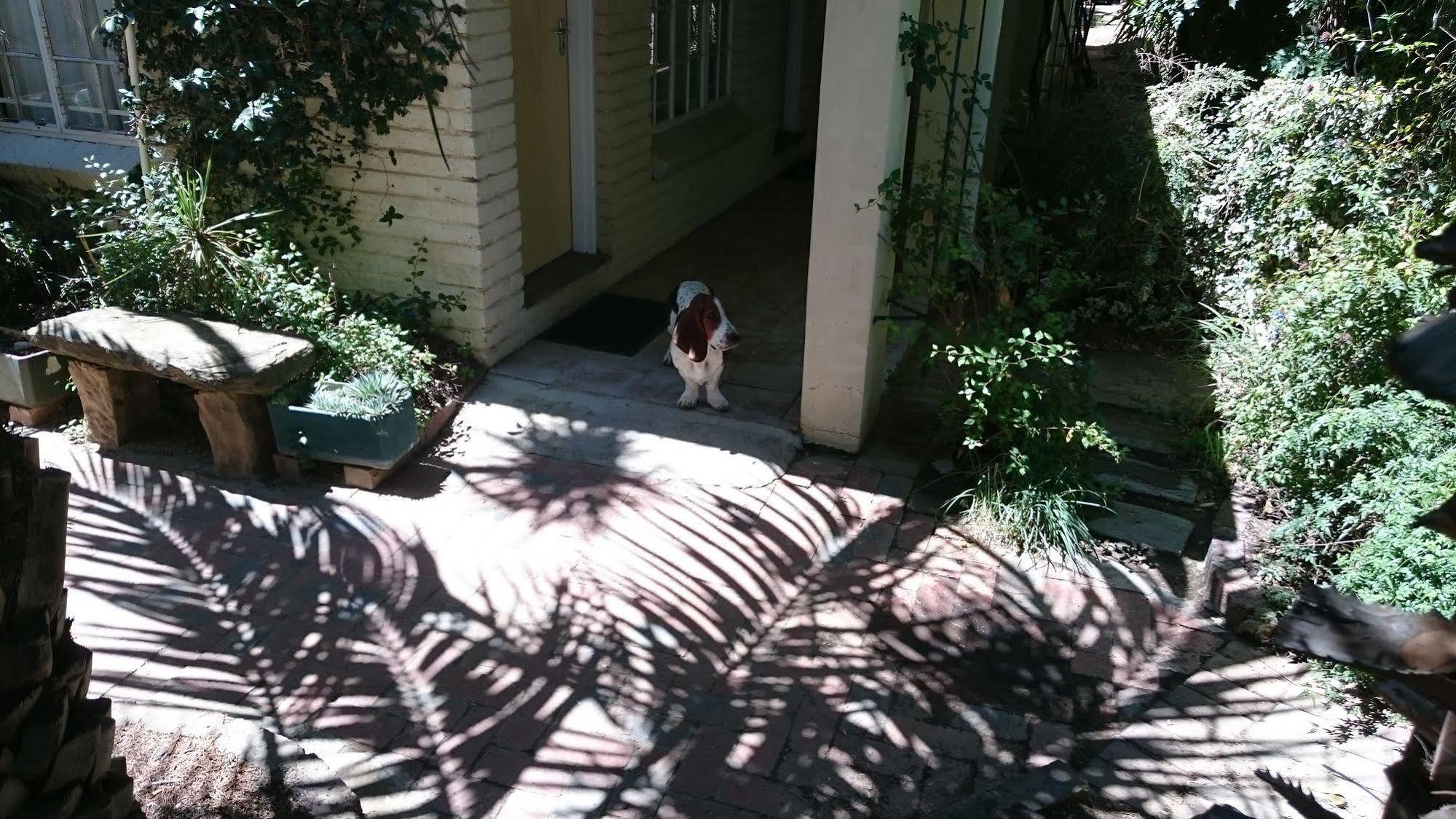 Ladybrand Guest House
